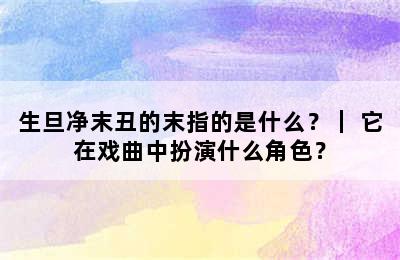 生旦净末丑的末指的是什么？｜ 它在戏曲中扮演什么角色？